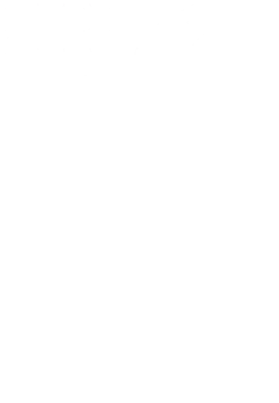 Octopus Dance Academy USA